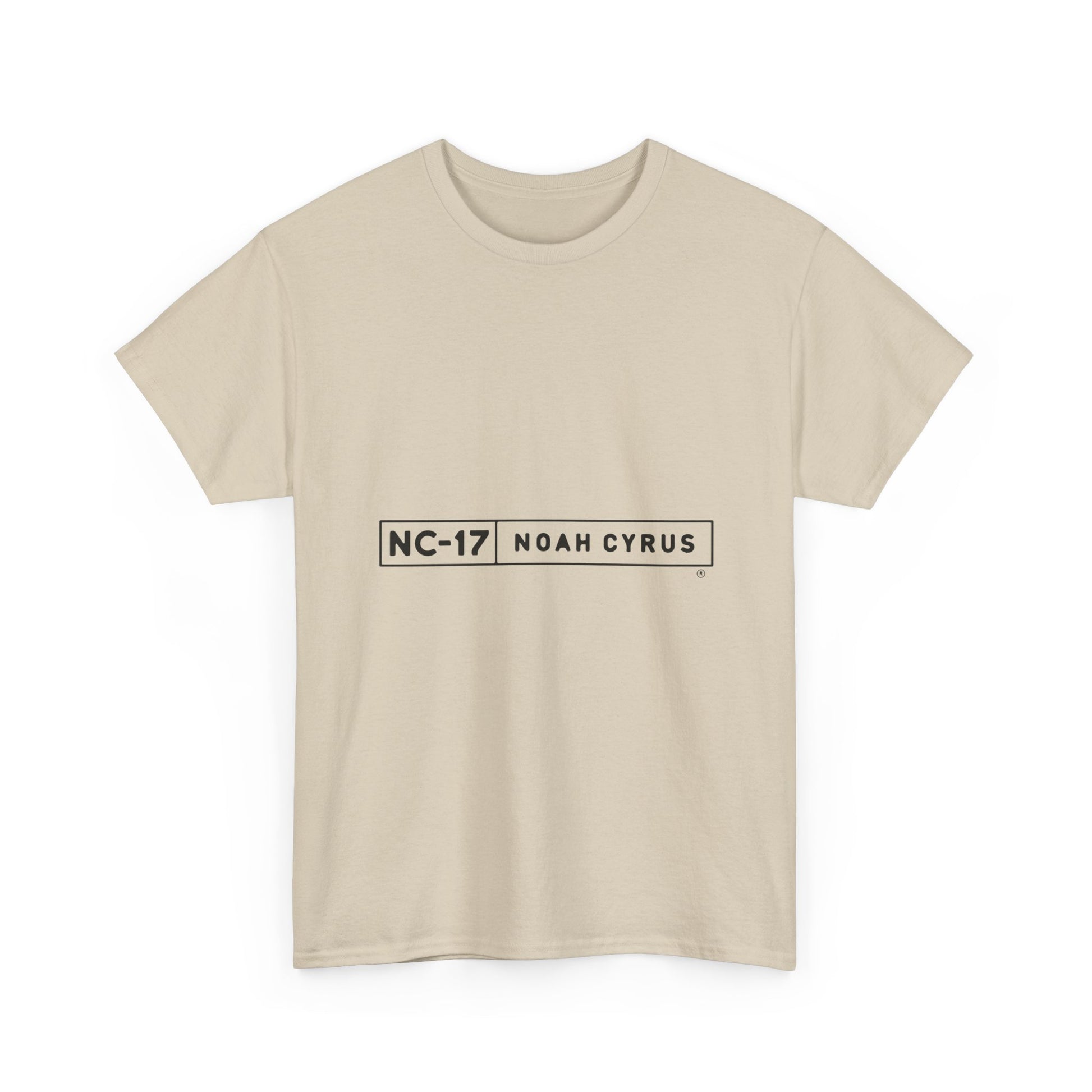Plain Minimal Black Unisex Heavy Cotton Tee - snazzymerch