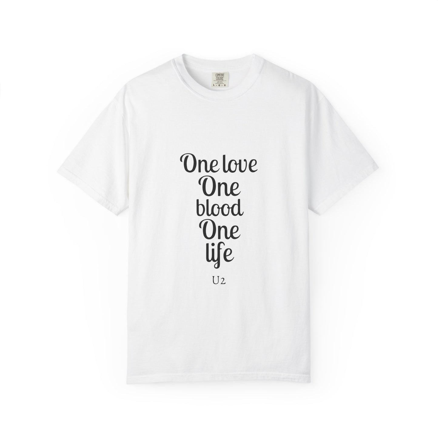 Tour-Inspired Circle Unisex Garment-Dyed T-shirt - snazzymerch