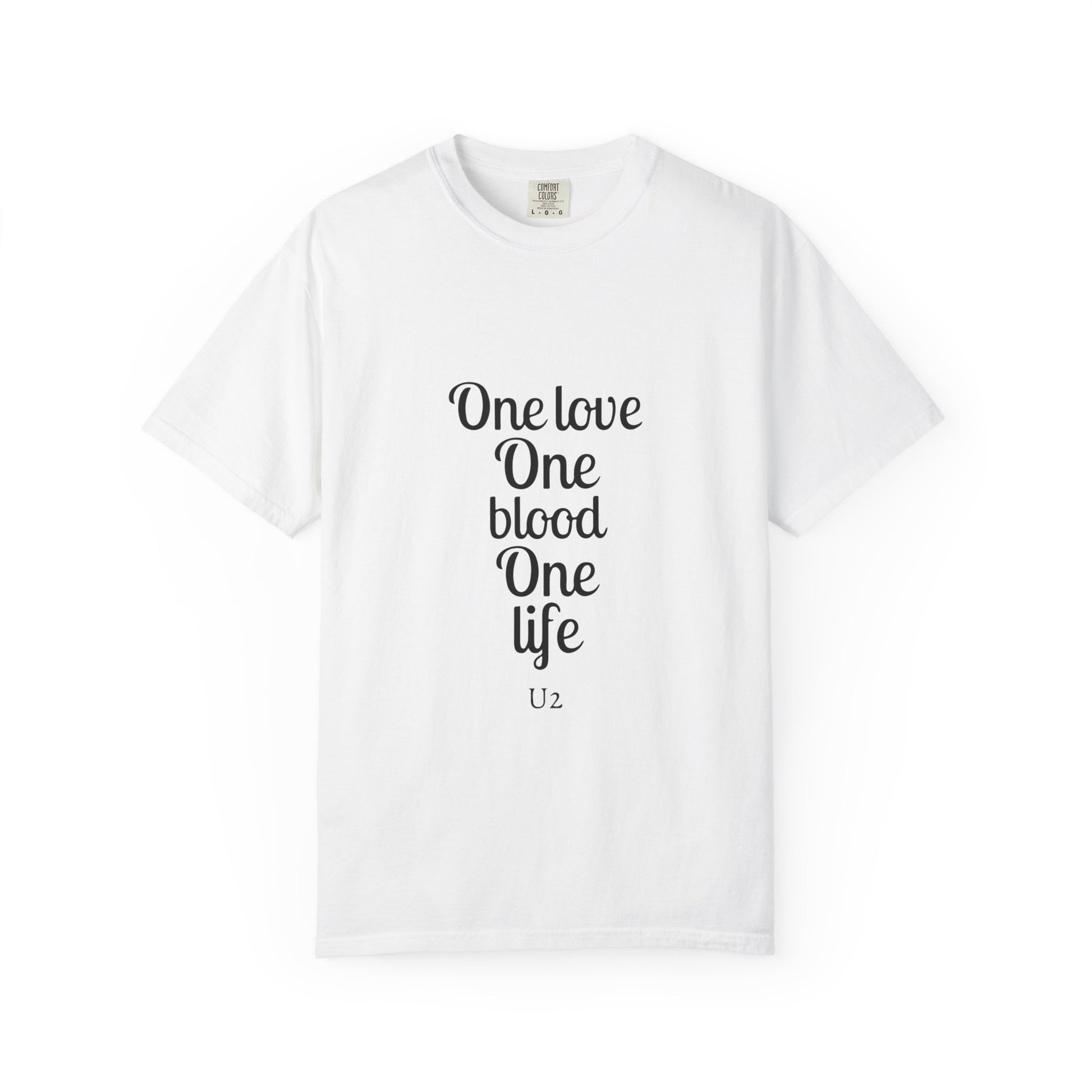 Tour-Inspired Circle Unisex Garment-Dyed T-shirt - snazzymerch