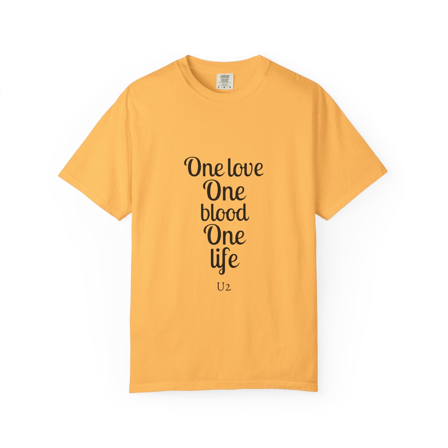 Tour-Inspired Circle Unisex Garment-Dyed T-shirt - snazzymerch