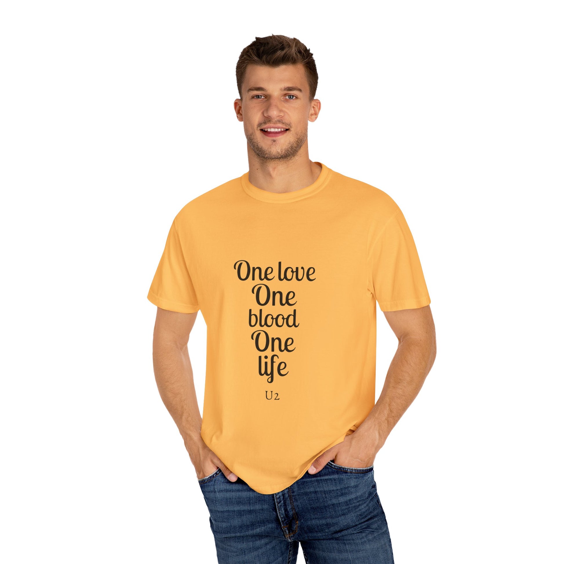 Tour-Inspired Circle Unisex Garment-Dyed T-shirt - snazzymerch