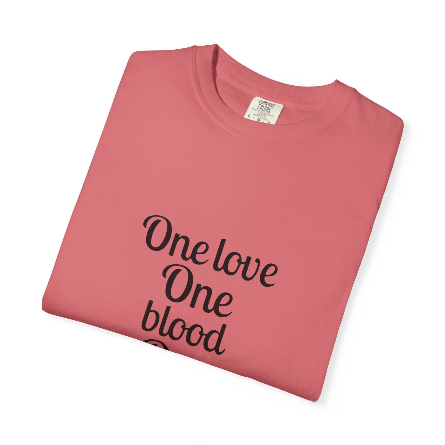 Tour-Inspired Circle Unisex Garment-Dyed T-shirt - snazzymerch