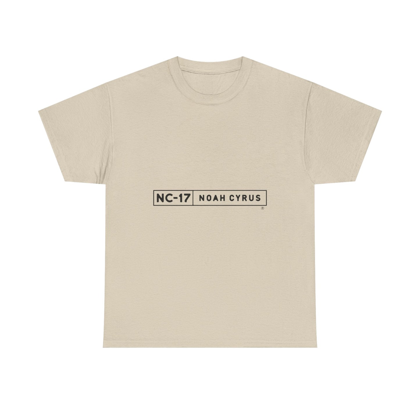 Plain Minimal Black Unisex Heavy Cotton Tee - snazzymerch