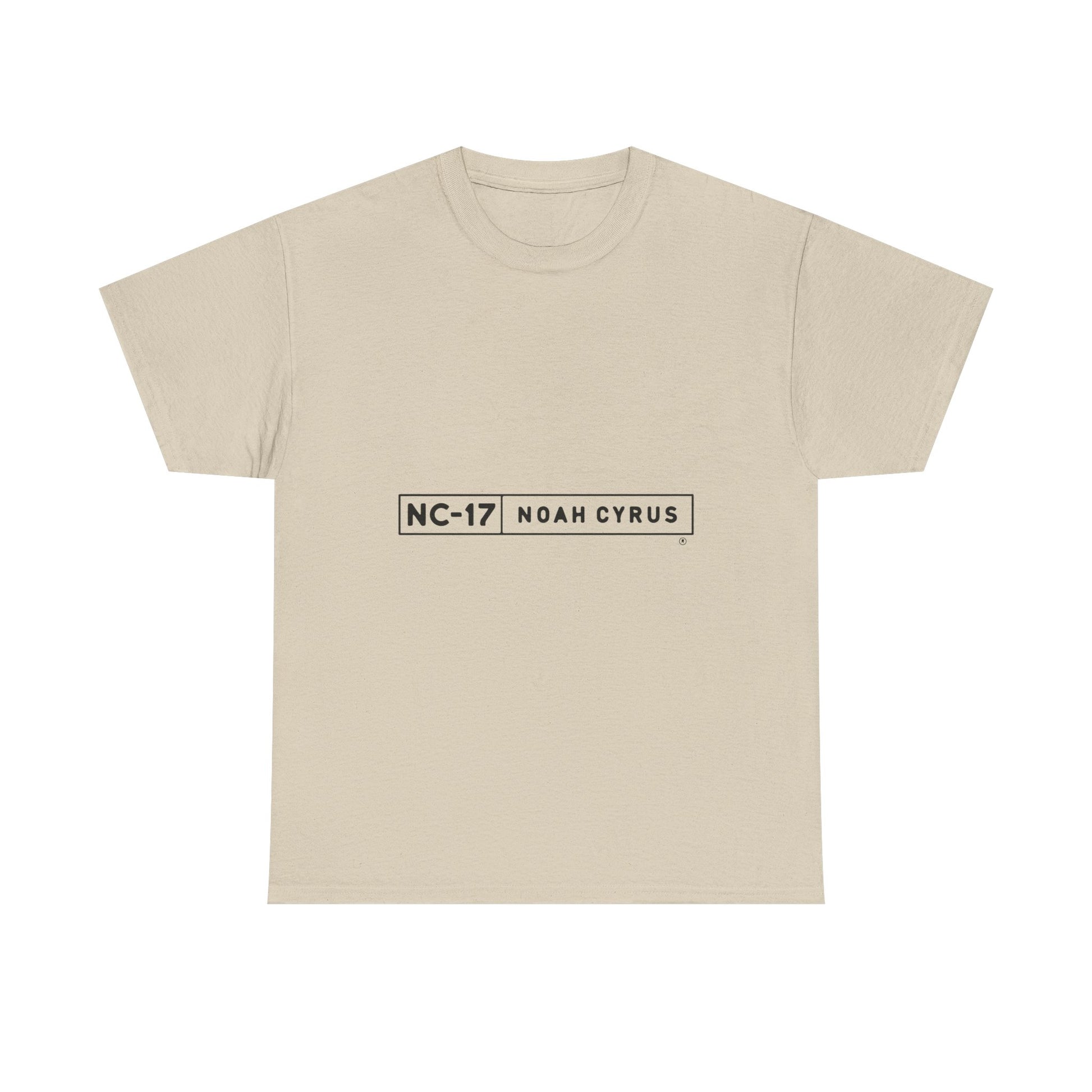 Plain Minimal Black Unisex Heavy Cotton Tee - snazzymerch