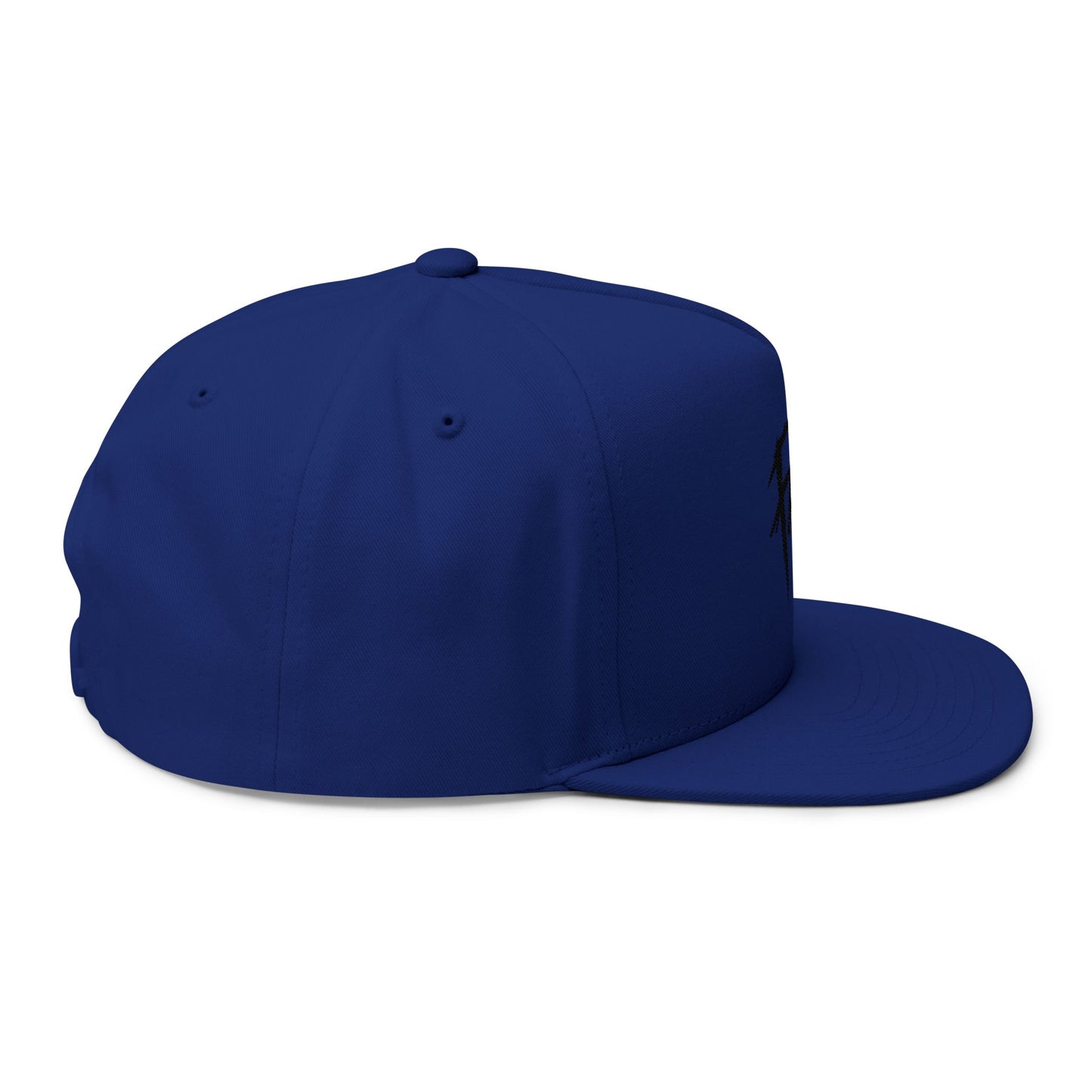 Midnight Frequency Flat Bill Cap - snazzymerch