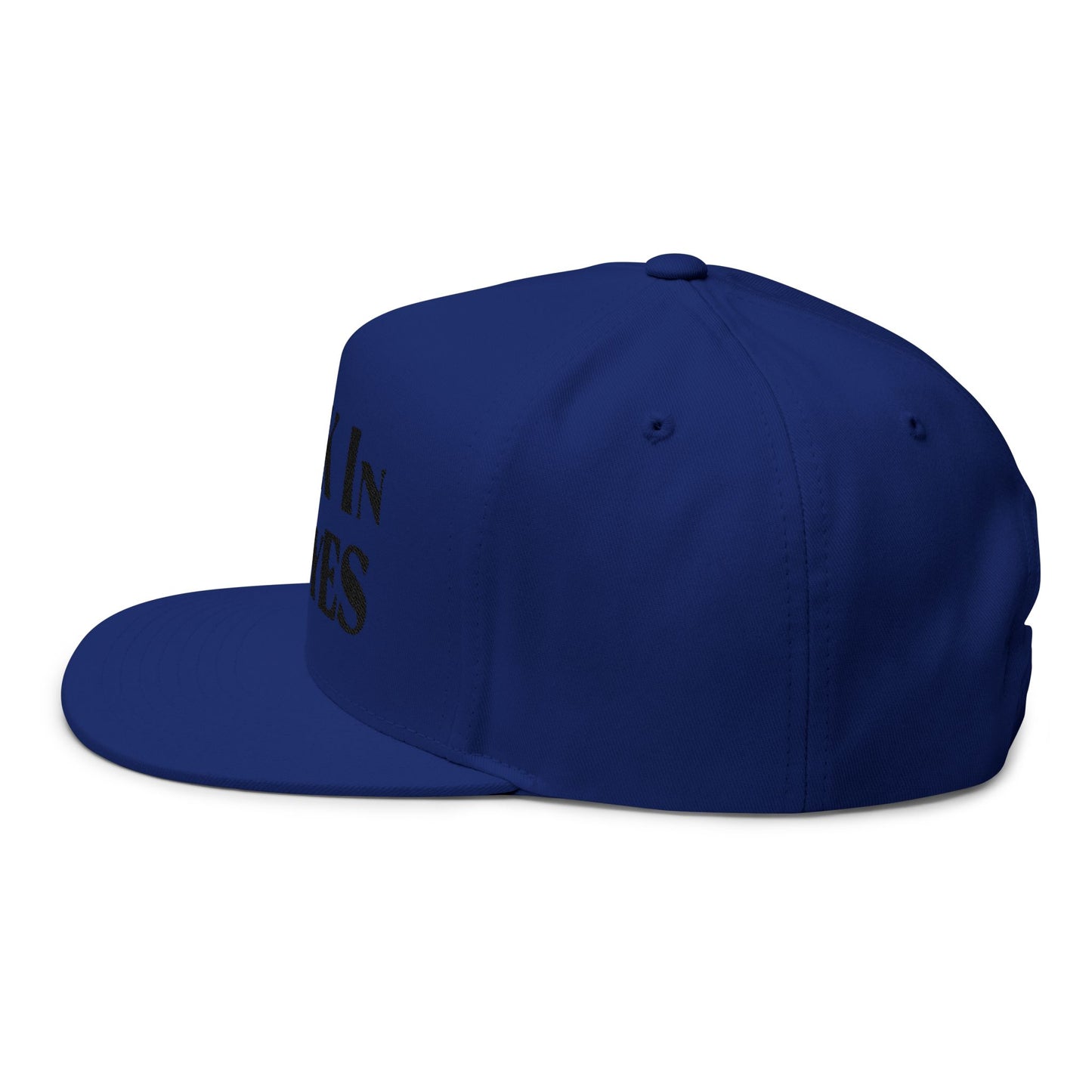 Dreamscape Flat Bill Cap - snazzymerch