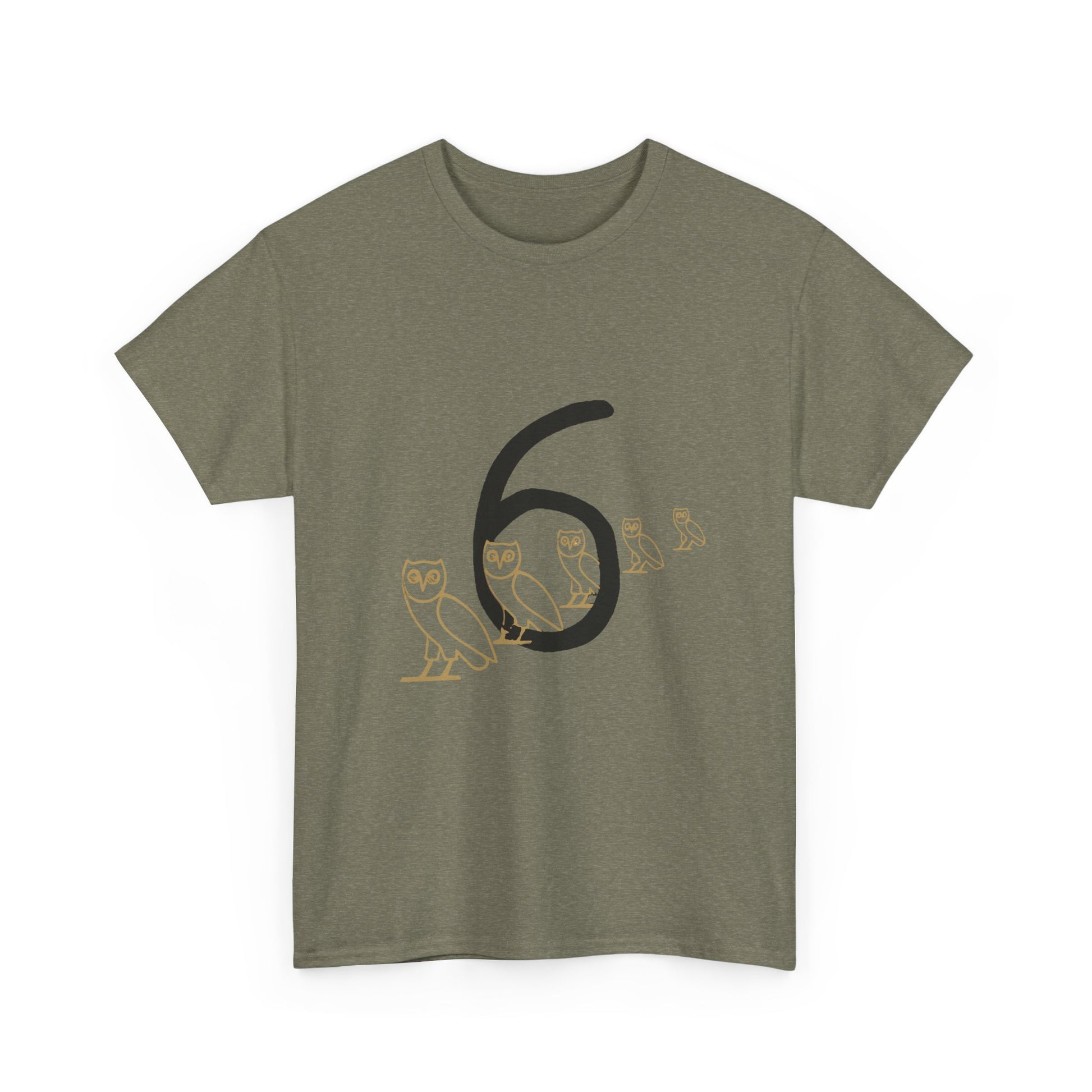 OVO Owl Evolution Heavy Cotton Tee Printify