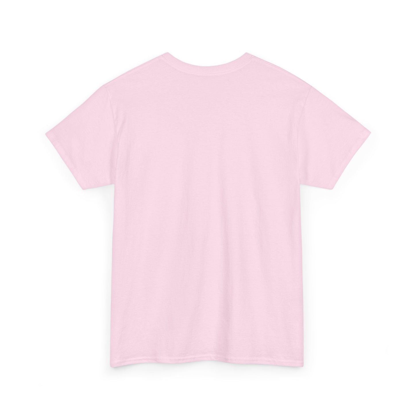 Sky Journey Balloon Unisex Heavy Cotton Tee - snazzymerch