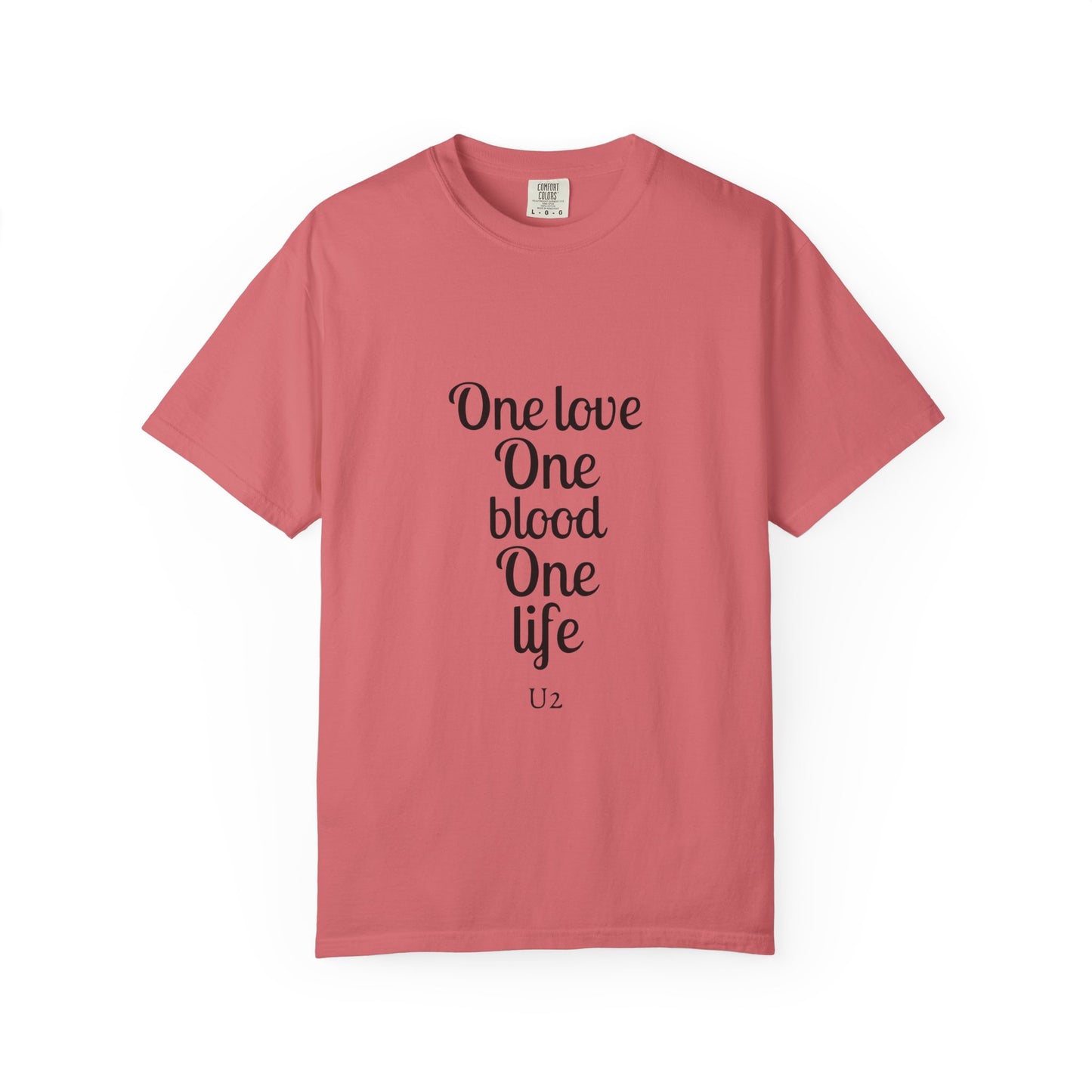 Tour-Inspired Circle Unisex Garment-Dyed T-shirt - snazzymerch