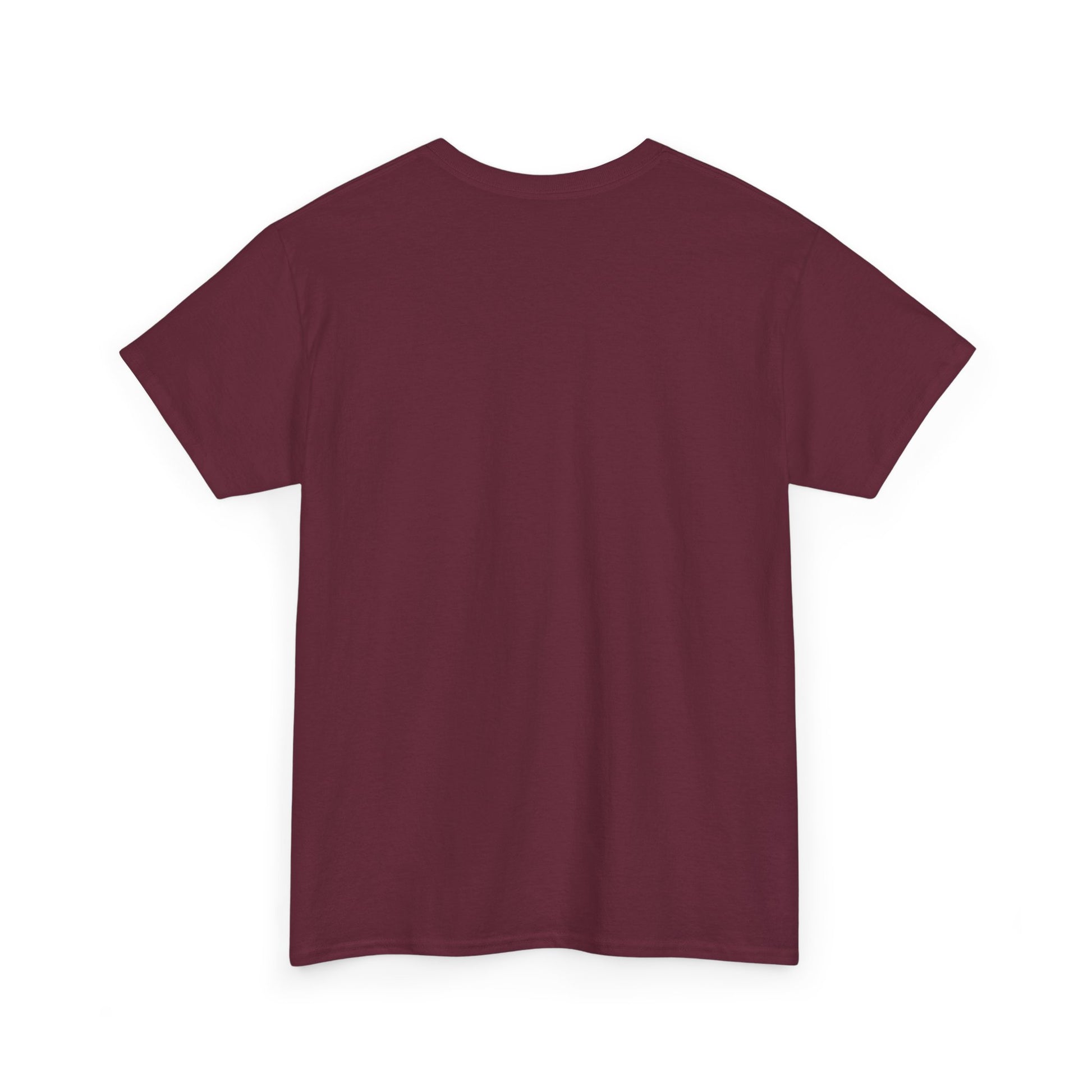 Truth in Motion Unisex Heavy cotton tee Printify
