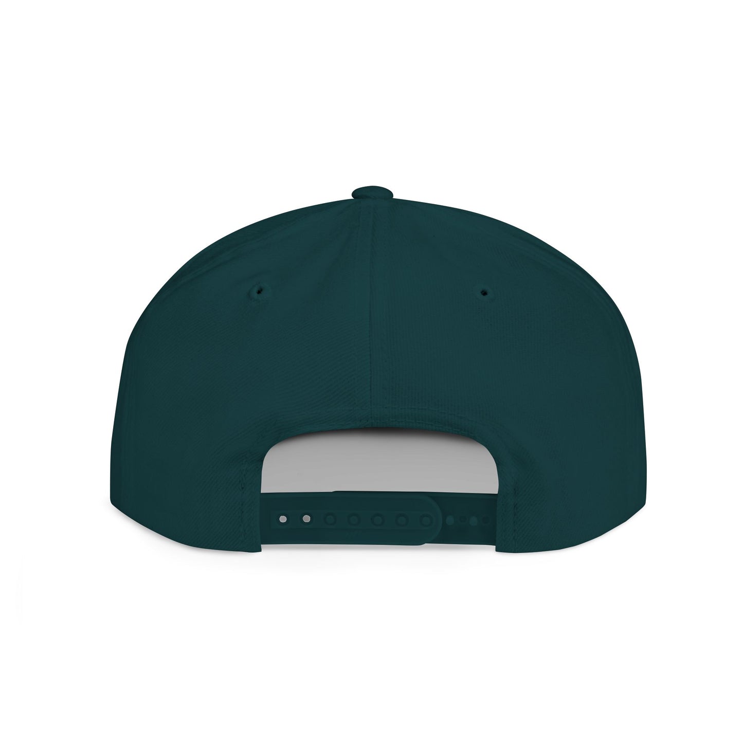 Solar Power Retro Flat Bill Snapback - snazzymerch